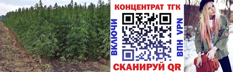 Дистиллят ТГК концентрат купить наркоту Нижнекамск