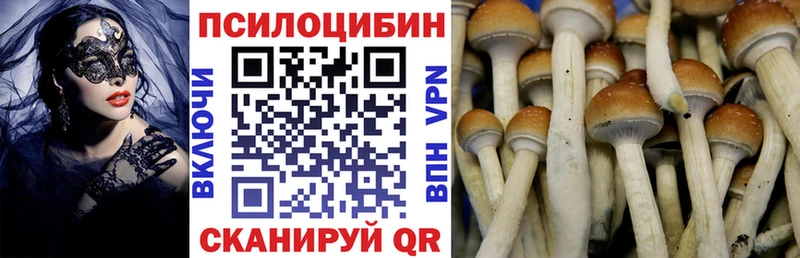 где продают   darknet наркотические препараты  Галлюциногенные грибы мухоморы  Нижнекамск 