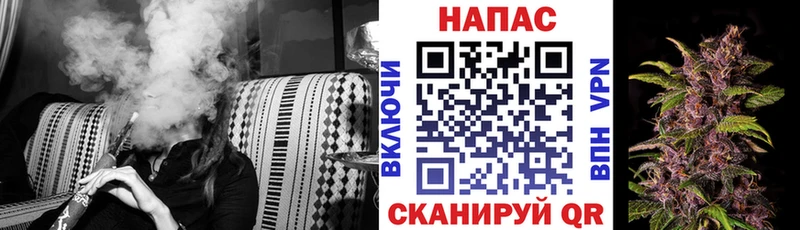наркотики  Нижнекамск  Шишки марихуана марихуана 